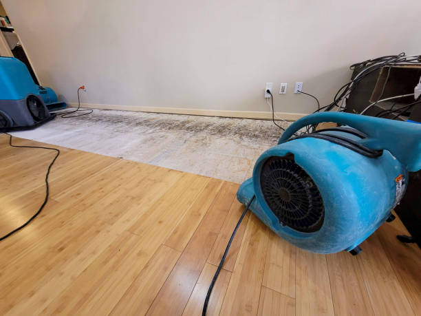 Professional Basement Flood Cleanup technician working in Lynnville, IA